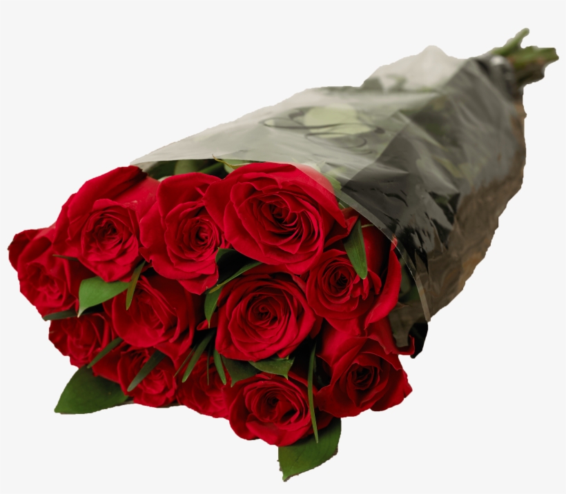 Â Â - Garden Roses, transparent png #3666025