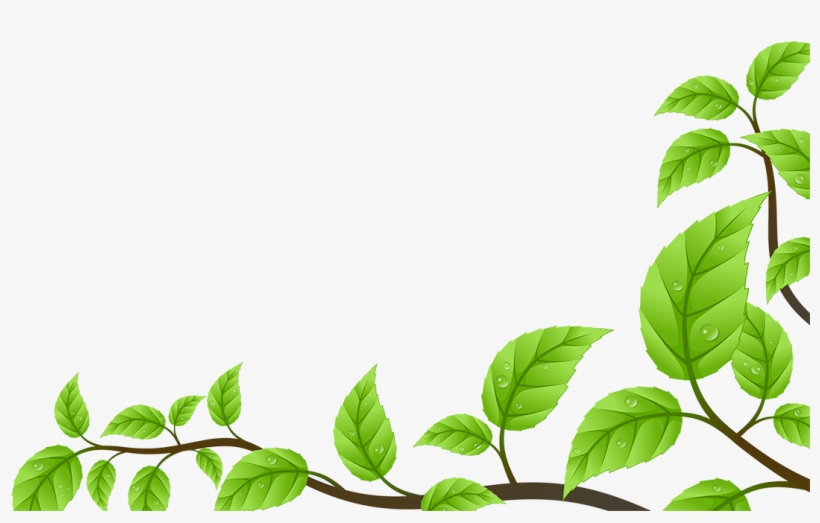 Oasis Health - Frame Daun Png, transparent png #3666938