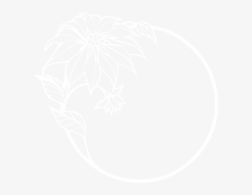 Flower Frame - Samolepící Dekorace Květ 2, transparent png #3668131