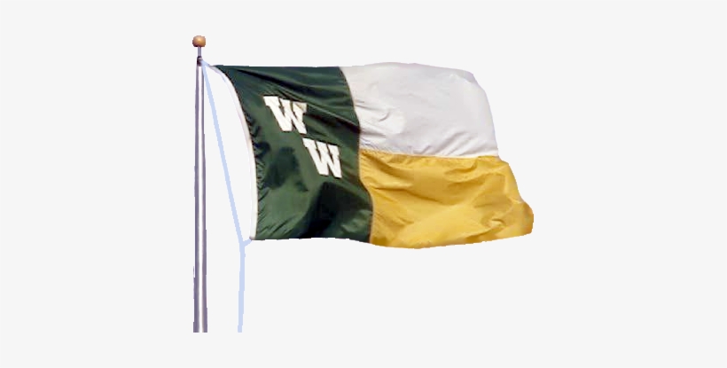 Flag Transparent Png Format - Flag, transparent png #3668424