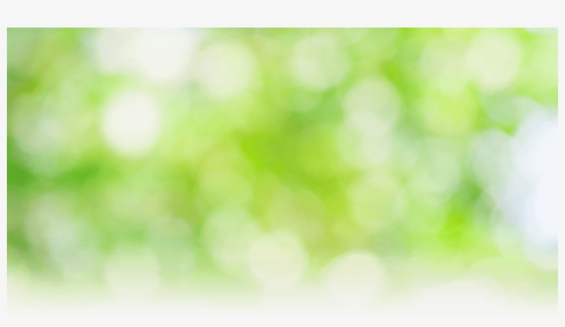 Happylee Anti Aging Background - Macro Photography, transparent png #3669290
