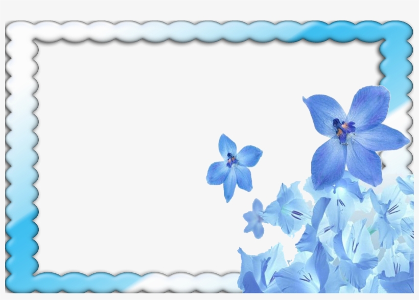 Png Photo Frame Download - Screen Backgrounds Blue Flowers, transparent png #3669767
