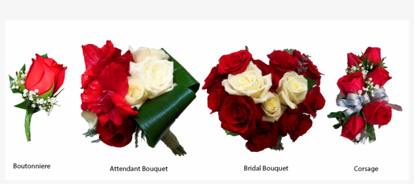 More Views - Floribunda, transparent png #3669823