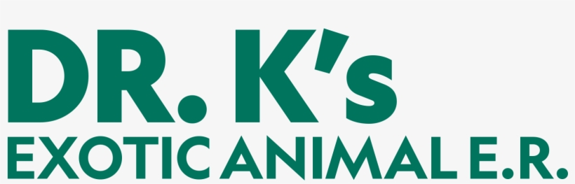 K's Exotic Animal Er - Dr. K's Exotic Animal Er, transparent png #3670027