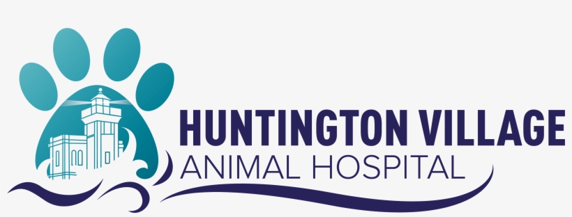 Huntington Village Animal Hospital, transparent png #3670510