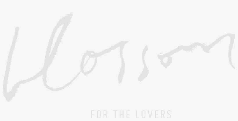 Blossom Daisy Creative Blossom Daisy Creative - Sketch, transparent png #3670711