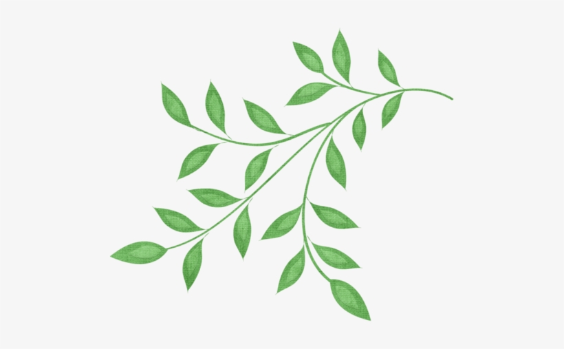 Visit - Branch And Leaves Clipart, transparent png #3671860