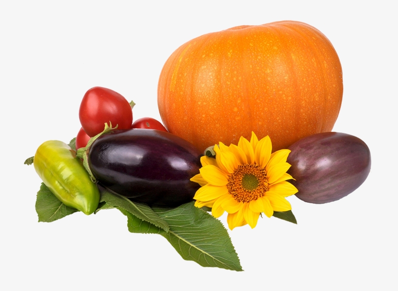 Autumn Harvest Of Vegetables - Vegan Diet For Beginners: Adopting A Vegan Diet For, transparent png #3672399