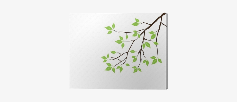 Vector Tree Branch With Green Leaves Canvas Print • - Click Wall Art 'blue Spring Cardinal' Framed Graphic, transparent png #3672448
