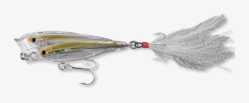 Glass Minnow Baitball Popper Sw - Silver, transparent png #3672542