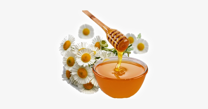 Med 55 - Eat Honey, transparent png #3672569