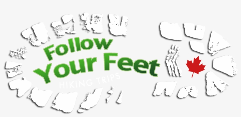 Home - Canada Flag, transparent png #3673186