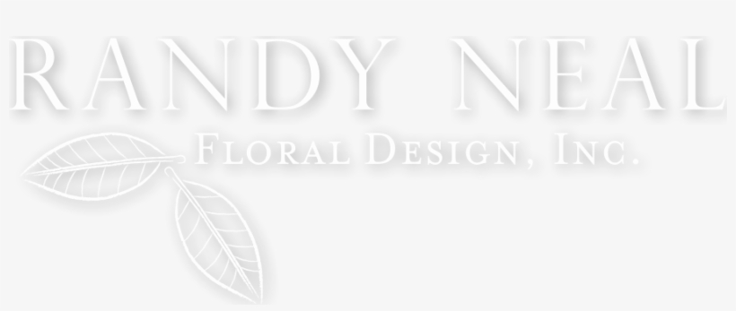 Black Floral Design Png, transparent png #3673651