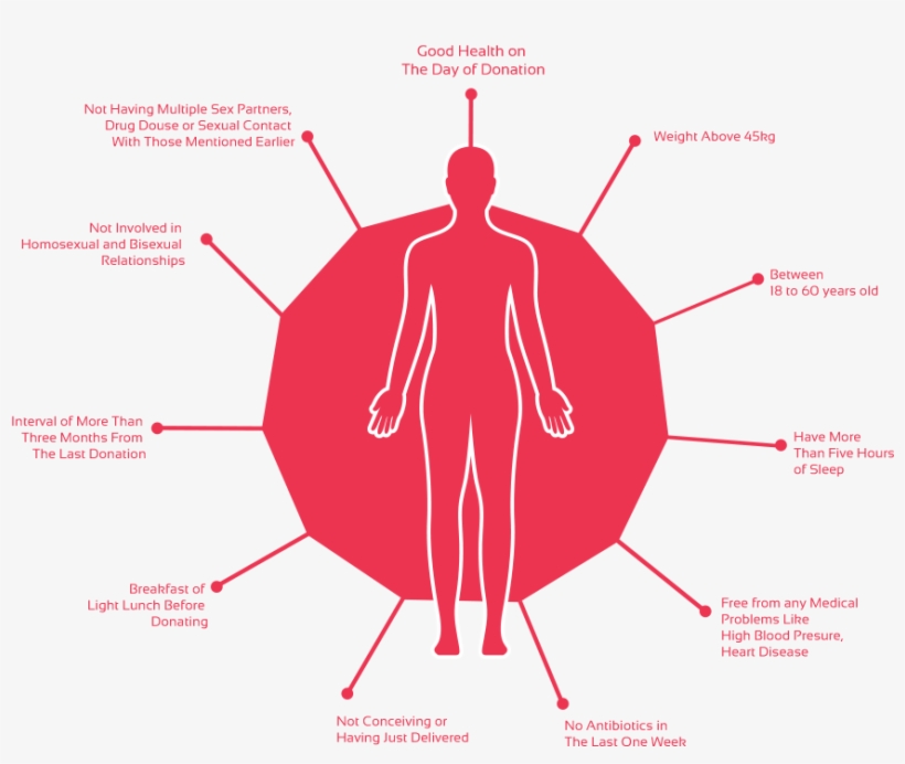 Age - Donate Blood And Have More Blood Relationships, transparent png #3674085