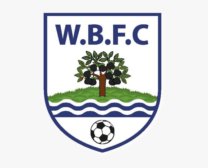 Worcester Bfc - Worcestershire - English County Flag 25mm Pin Button, transparent png #3674386