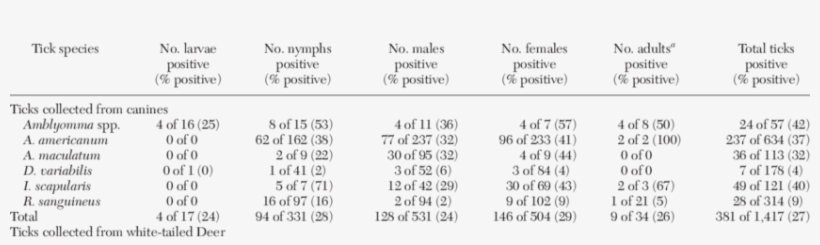 Almost 30% Of The Ticks And Representatives Of Each - Number, transparent png #3674659