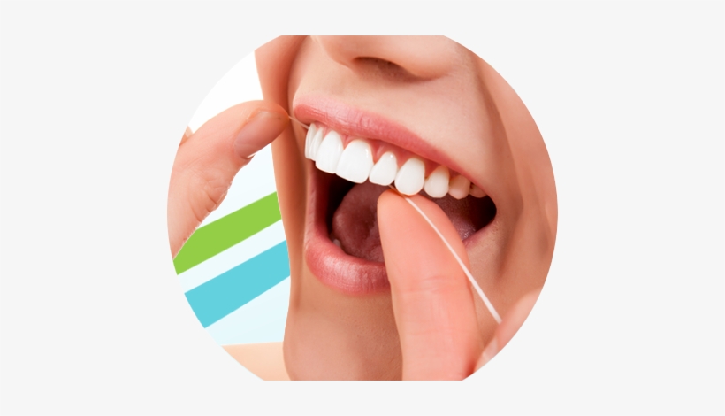 Dental Png Hd - Dentistry, transparent png #3674868