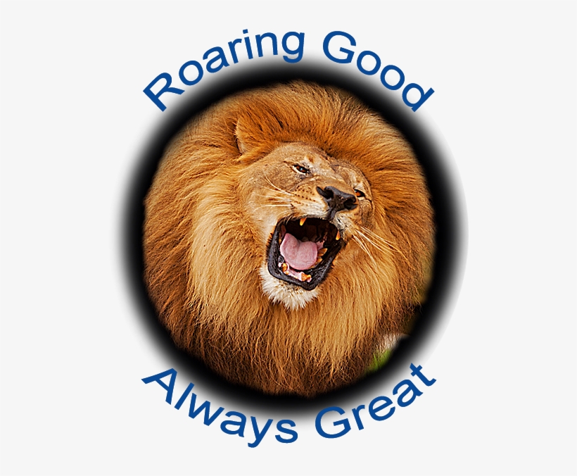 Picture - Masai Lion, transparent png #3675113