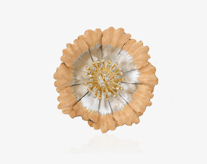 Jewellery, transparent png #3675879