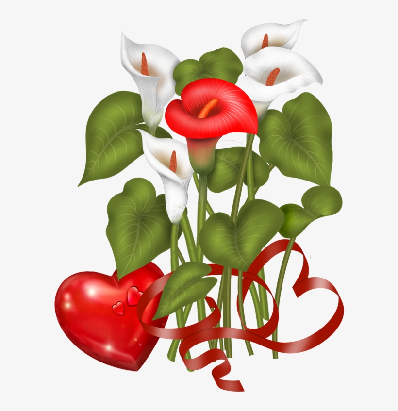 Valentine's Day Flowers - Anthurium, transparent png #3676091