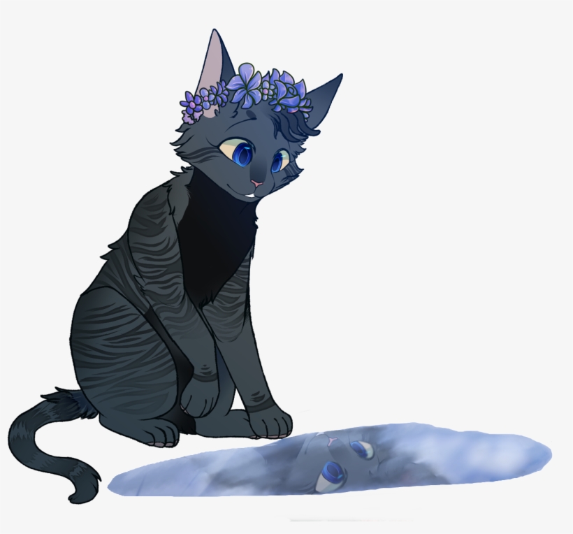 Edit Fixed - Black Cat, transparent png #3676705