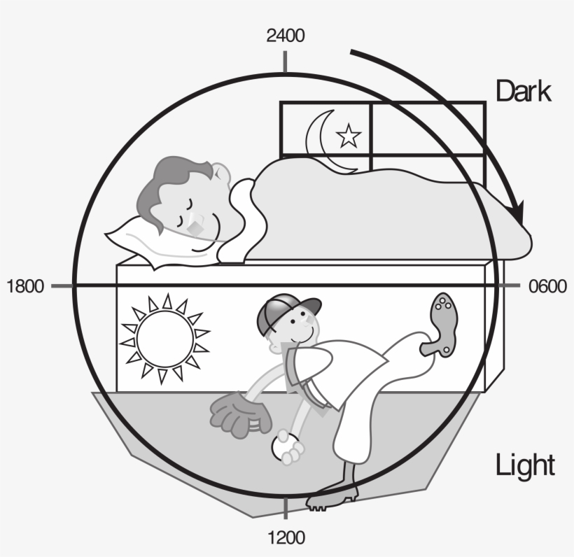 Brains Clipart For Kid Png - Day Night Concept Clipart Black And White, transparent png #3677608