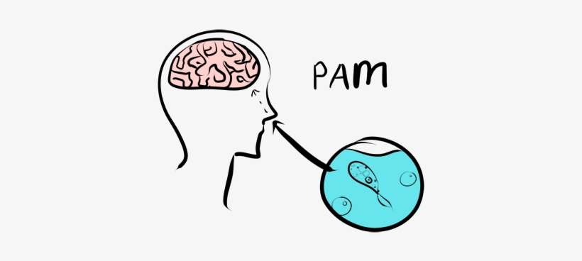 *how The Naegleria Fowleri Enters The Human Brain - Primary Amoebic Meningoencephalitis Pathogenesis, transparent png #3677691