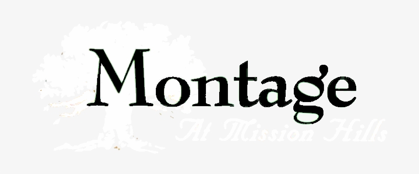 Png Montage - Montage Png, transparent png #3678057