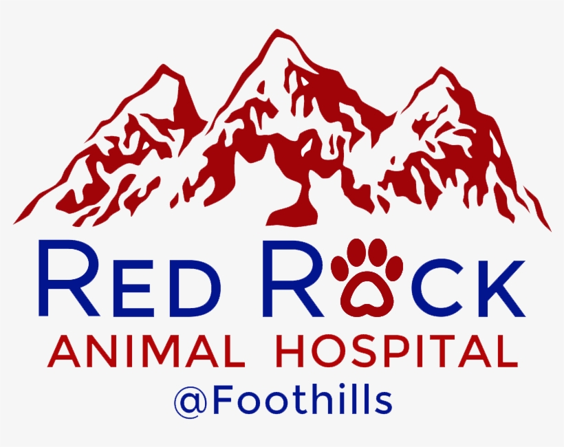 Catdog - Las Vegas, transparent png #3678308