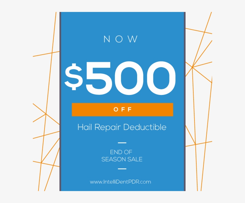 Denver Hail Repair Coupon - Envirowise Pest Solutions, transparent png #3678649