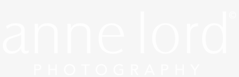 Anne Lord Photography Received The Weddingwire Couples - Anne Lord Photography, transparent png #3679172