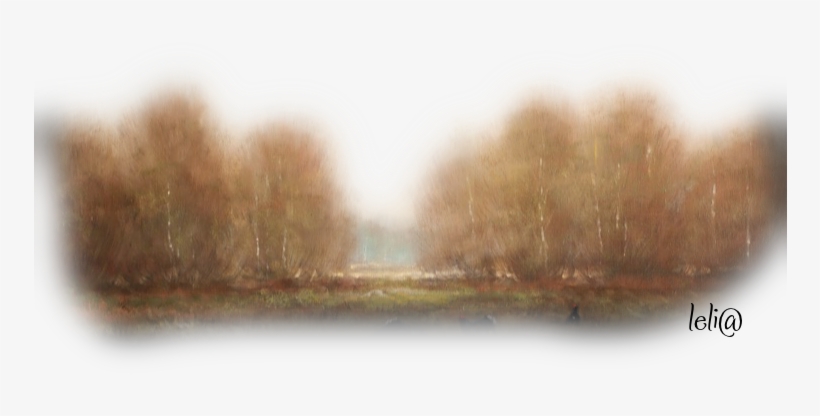 Wood, transparent png #3680028