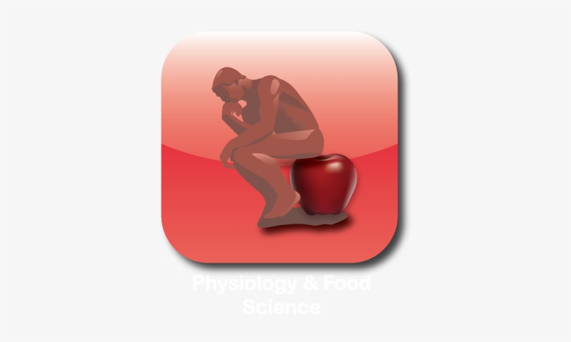 Thinker Icon Final - Portable Network Graphics, transparent png #3681049