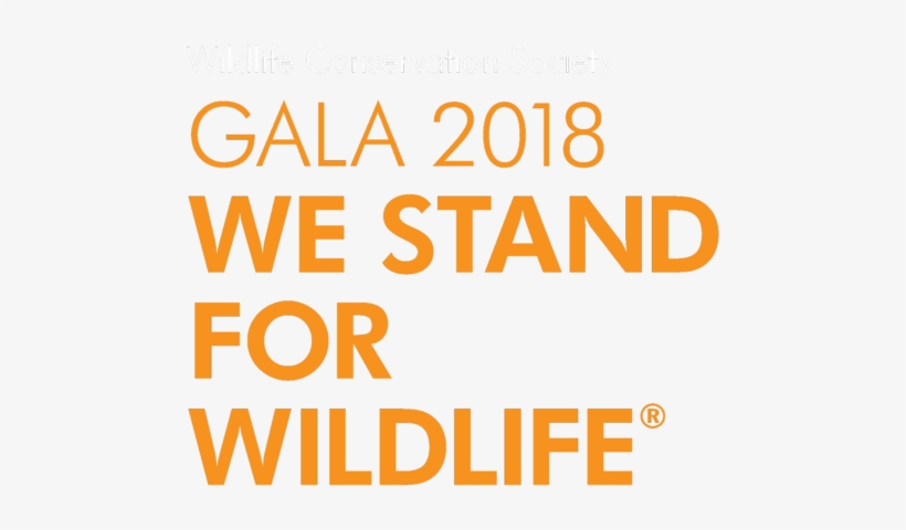 One Page Site - Don T Understand Anything, transparent png #3681700