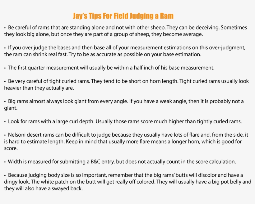 Jay Scotts Field Judging Bighorn Sheep Tips - Kata Kata Di Umur 20 Tahun, transparent png #3682683