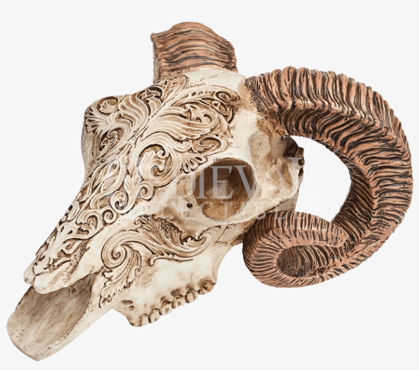 Item - Ram Skull, transparent png #3682798