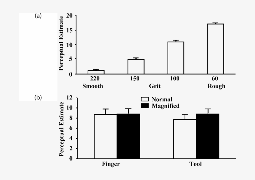 The Effect Of Texture Characteristics On Perceptual - Diagram, transparent png #3684450