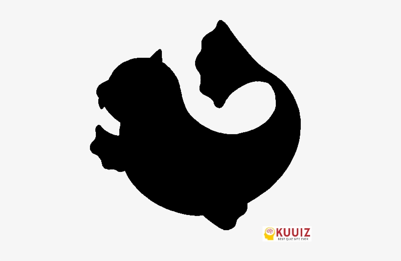 Seel - Sealion - Dugong - Whos That Pokemon Dewgong, transparent png #3686018