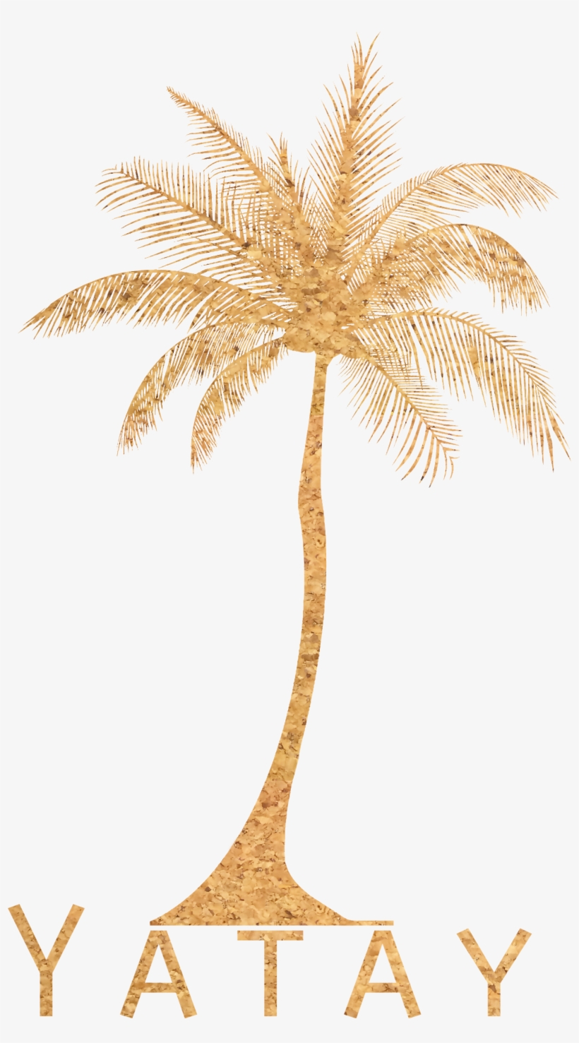 Stock Photography, transparent png #3688285