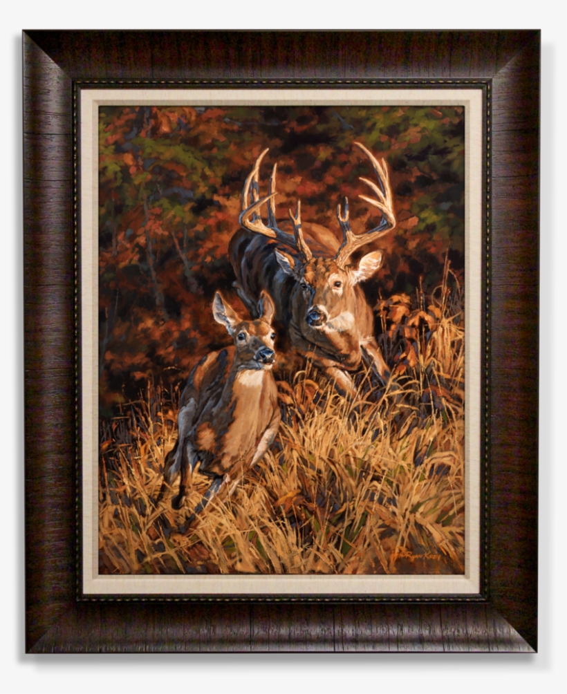 Ryan Kirby Deer Outdoor Life November Cover Canvas, transparent png #3688649
