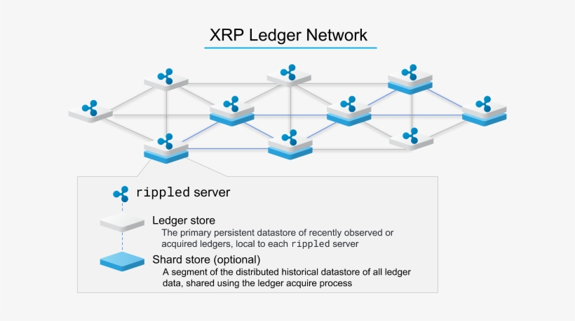 Xrp Ledger Network - Blog, transparent png #3689218
