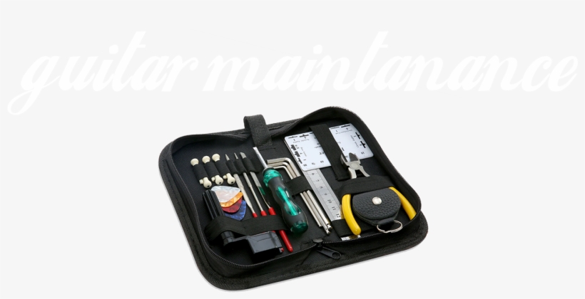 Harambe, transparent png #3689268