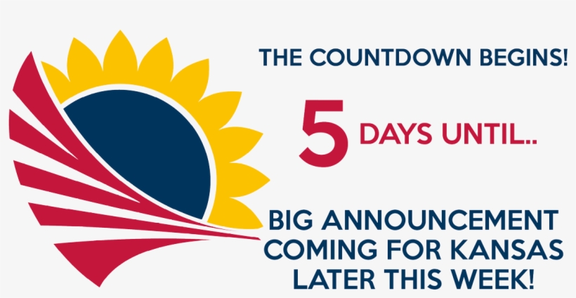 Laura Lombard On Twitter - Cancer Survival Designs Ornament (round), transparent png #3689802