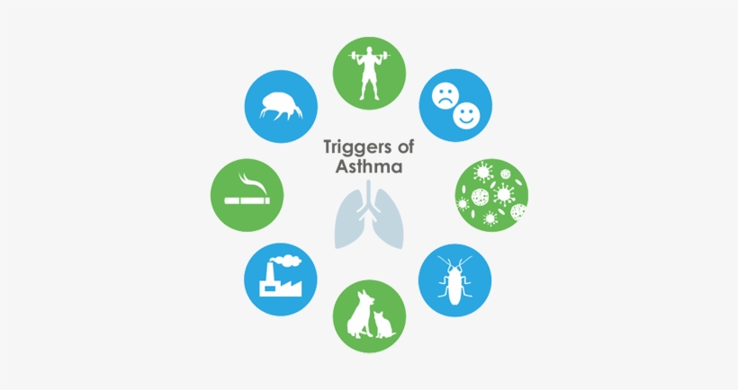 Non-allergic Asthma Would Be When Attacks Can Be Triggered - Us Healthcare Revenue Cycle Management, transparent png #3691141