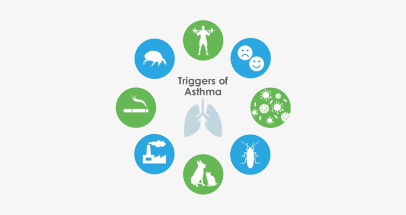 Non-allergic Asthma Would Be When Attacks Can Be Triggered - Us Healthcare Revenue Cycle Management, transparent png #3691141