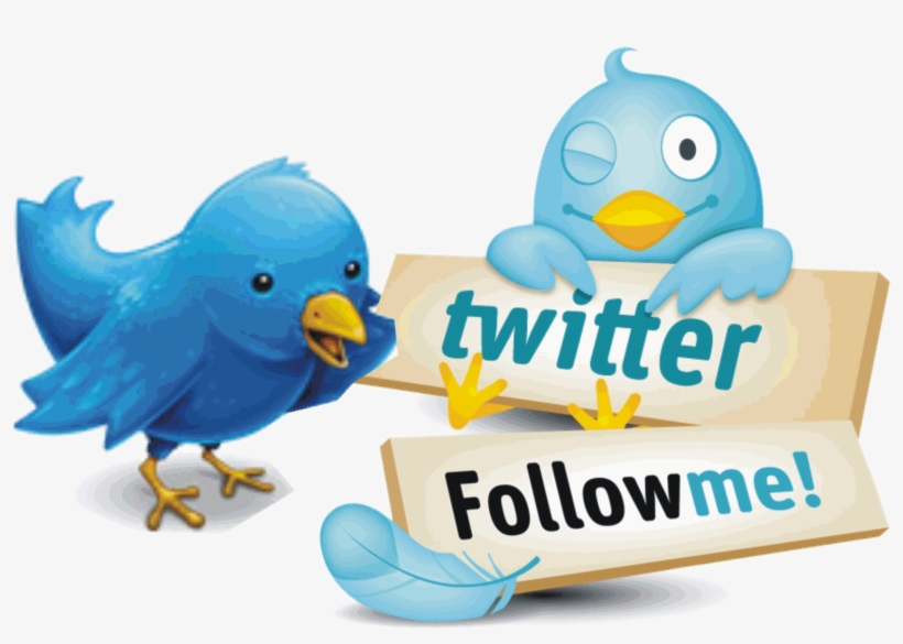 Tvitter - Twitter Followers, transparent png #3691194