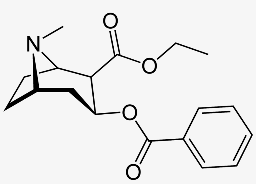 Cocaine Structure, transparent png #3692143