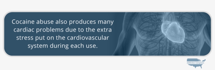 Com The Dangers Of Using Cocaine Intravenously Produces - Cocaine, transparent png #3692841