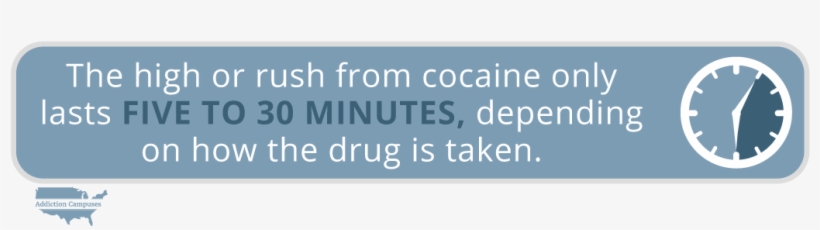 Com Signs Of A Cocaine Overdose Five To 30 Minutes - Addiction Campuses, transparent png #3692861