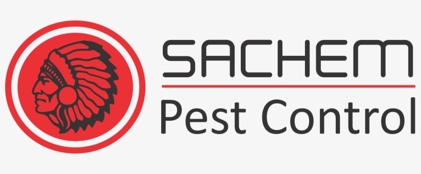 Tick-borne Infections Will Likely Increase - Saugus Sachem, transparent png #3693596